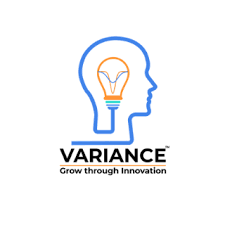 Variance InfoTech Pvt. Ltd. logo